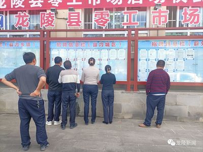 龍陵 多維度促進(jìn)就業(yè)創(chuàng)業(yè)，高質(zhì)量托穩(wěn)民生幸福——職業(yè)中介服務(wù)的核心角色與創(chuàng)新實踐